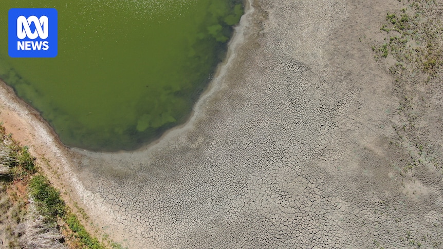 Outback NSW lake home to hundreds of turtles set to run dry in 130-year first