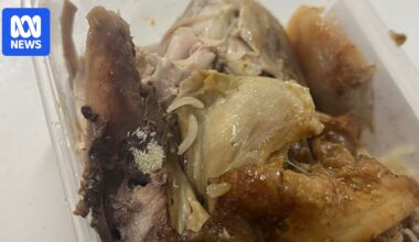 Maggot-infested meal halts work at $1 billion hydro project