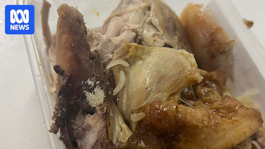 Maggot-infested meal halts work at $1 billion hydro project