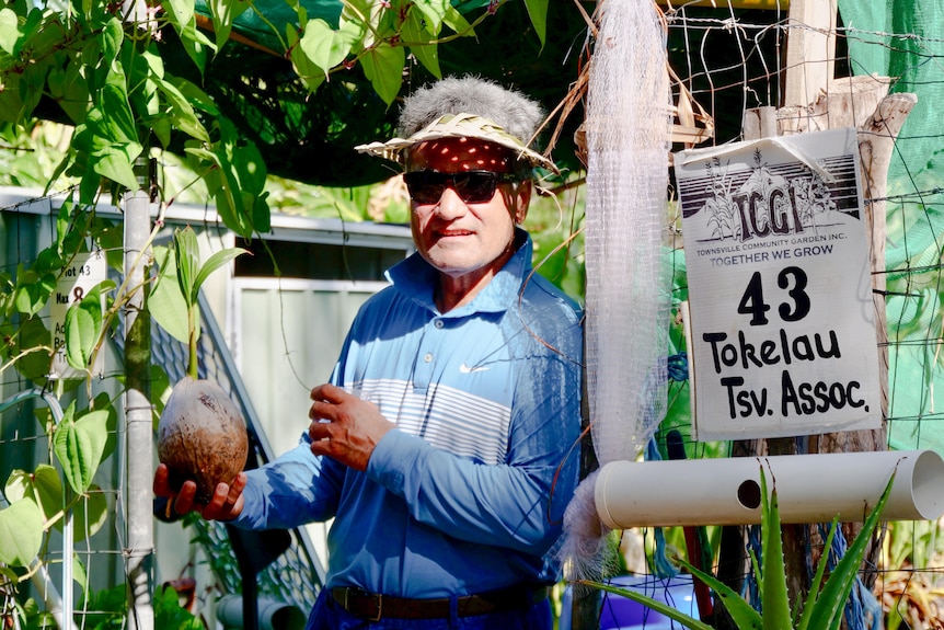 Pacific Islander man holding fresh coconut with sprout, while leaning on garden fence.