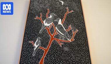 Sydney Aboriginal inmate's connection to country stays strong through art