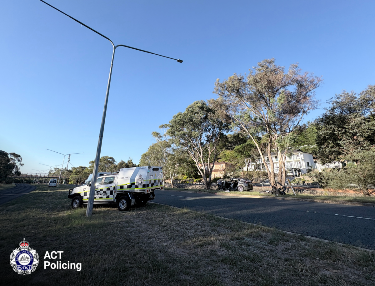 crashed car near tree