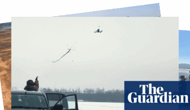 Stranded whales and an anti-drone gun: photos of the day - Thursday - The Guardian