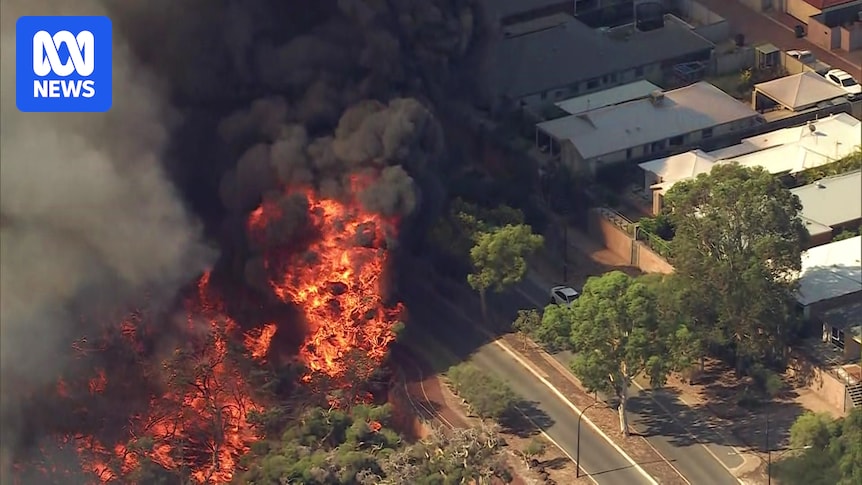 Bushfire threatens dozens of homes in Ellenbrook, north-east of Perth