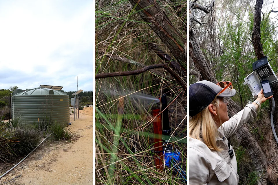 Left: Water stored in a tank at the Margaret River site. Middle: A sprinkler. Right: A woman using the soil monitoring system.
