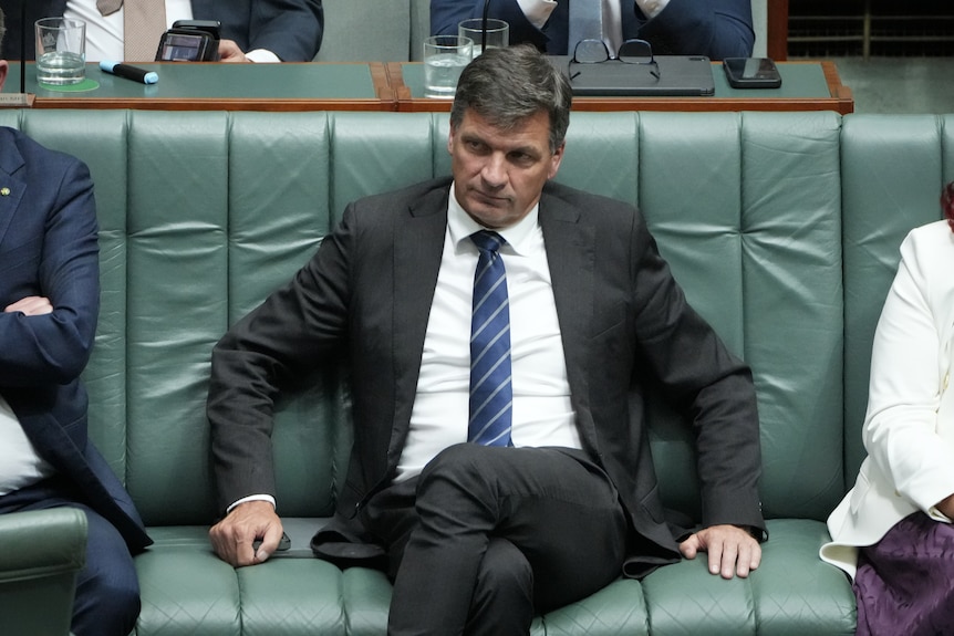 Angus Taylor