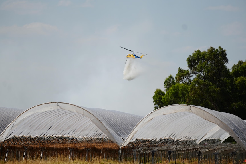 An aerial water bomber is dropping water bombs. 
