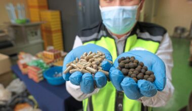 Quack medicine ring busted in Penang