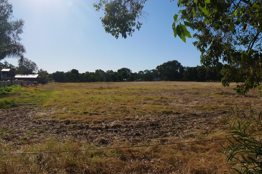 Empty field with grass, trees in background and property on the left