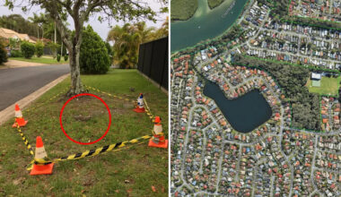 Resident praised for quick thinking after hard-to-spot discovery outside Aussie home