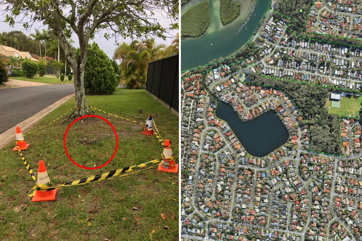 Resident praised for quick thinking after hard-to-spot discovery outside Aussie home