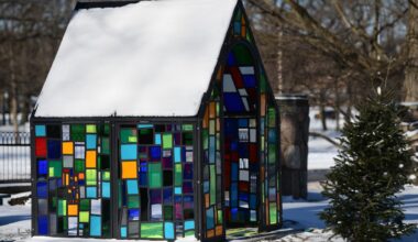 What’s that? New sculpture at Jackson museum adds a pop of color to grounds