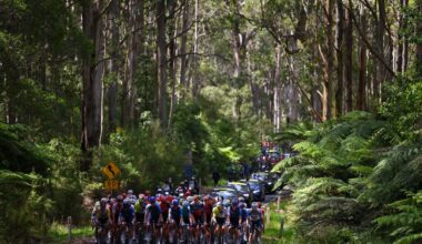 TORQUAY, AUSTRALIA - JANUARY 25: A general view of the peloton passing through a landscape during the 2nd Surf Coast Classic 2024, Men's Elite a 155km one day race from Lorne to Torquay on January 25, 2024 in Torquay, Australia. (Photo by Tim de Waele/Getty Images)