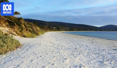 'Dog in driver's seat' of ute on Tasmanian beach sparks call for witnesses