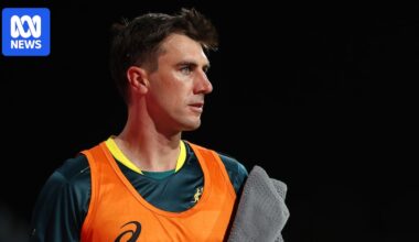 Pat Cummins ruled out of T20 World Cup as Steve Smith snubbed despite strong form