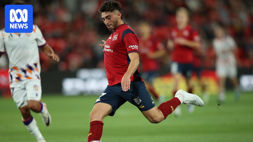 Adelaide United says Josh Cavallo never raised homophobia concerns with A-League club