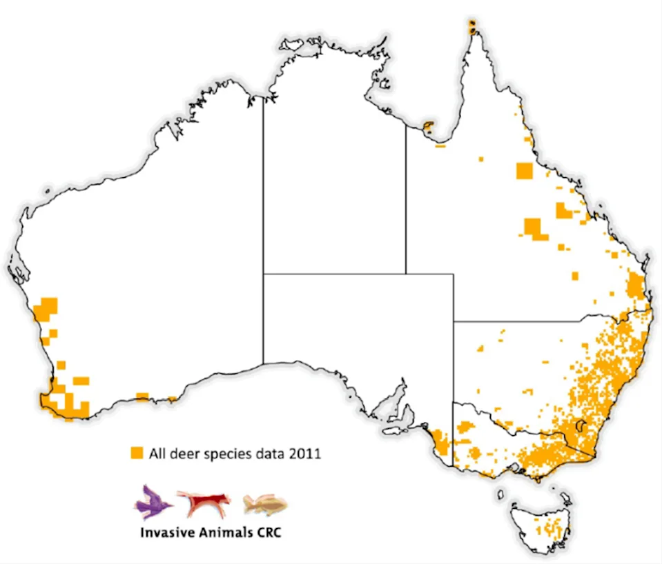 A map of deer spread across Australia Source: Invasive Species Council 