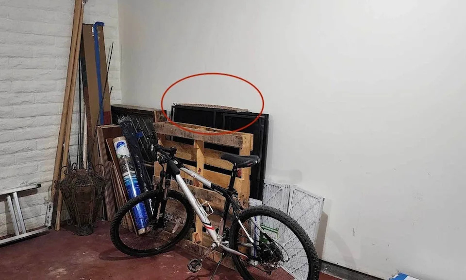 Rattlesnake in homeowners' garage.