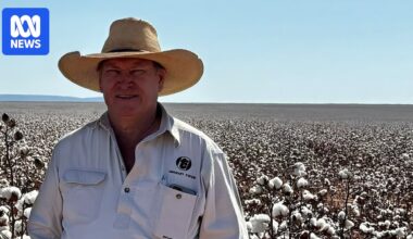 Three federal politicians demand incoming NT administrator David Connolly apologise for 'offensive' posts