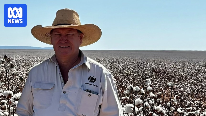 Three federal politicians demand incoming NT administrator David Connolly apologise for 'offensive' posts