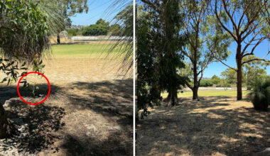 Aussie suburbs fall 'silent' as disturbing trend claims hundreds of lives