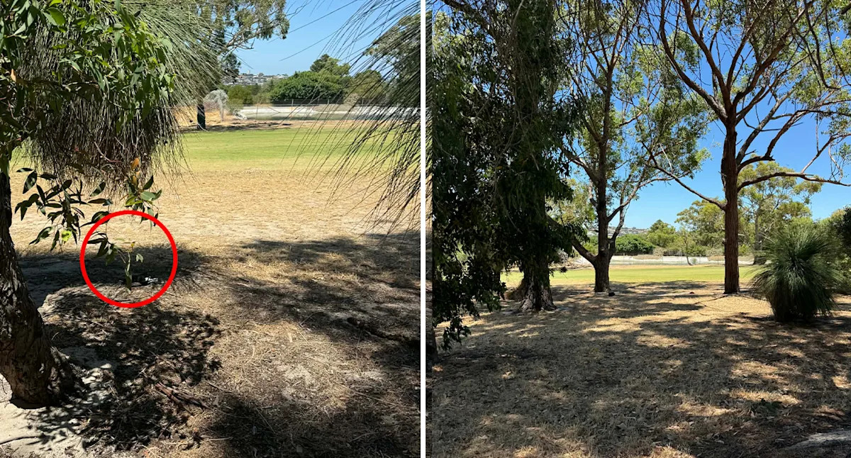 Aussie suburbs fall 'silent' as disturbing trend claims hundreds of lives