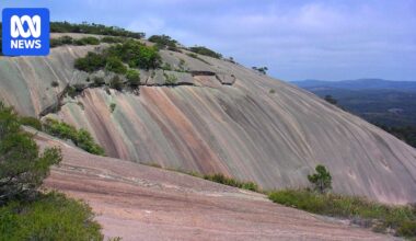 Travel quiz, January 20: Which Australian state has the most wine regions?