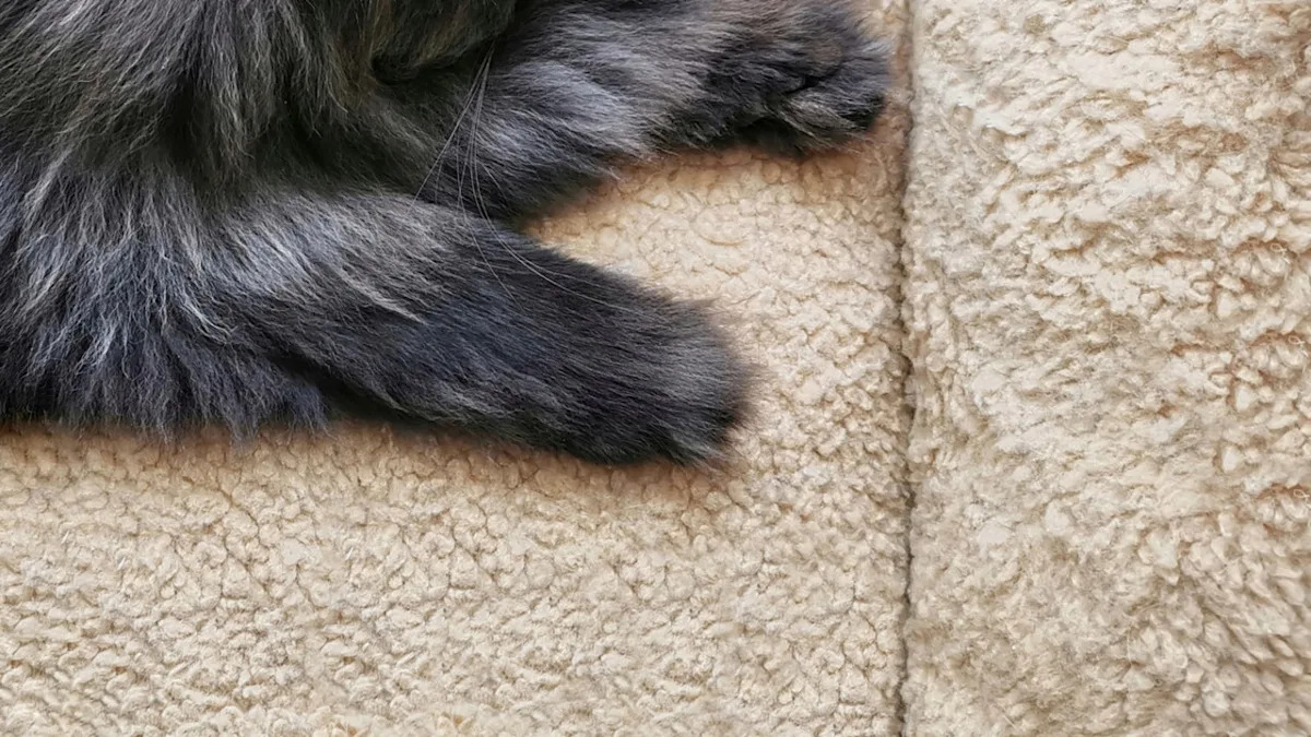 Yahoo lifestyle home