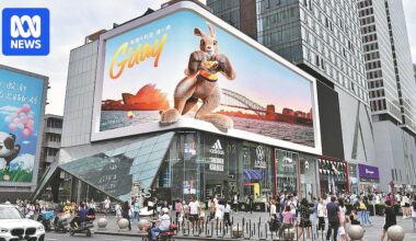 Australia warned recovering Chinese tourism market may cool in 2026