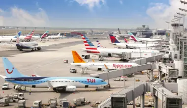 Largest Airlines in the World by Fleet Size in 2026