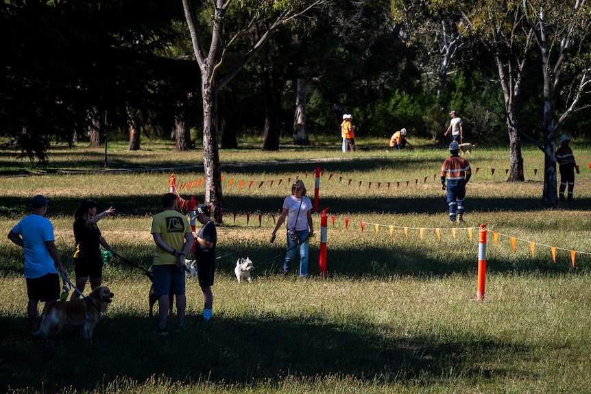 People, many with dogs, walk through a grassy paddock with trees which is partly taped off with orange flags and plastic poles.