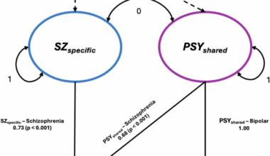 Splitting schizophrenia: divergent cognitive and educational outcomes revealed by genomic structural equation modelling