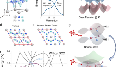 Harnessing Van Hove singularities for terahertz photoresponse via Fermi surface reconstruction in kagome lattices
