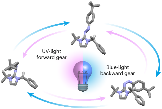 Wavelength-steered directional rotation in an autonomous light-driven molecular motor
