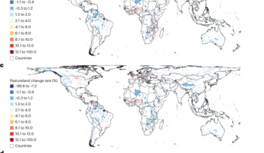 Projected human land-use pressures and natural habitat conversion risk within global terrestrial protected areas