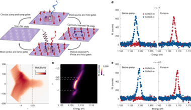 Optical control of integer and fractional Chern insulators