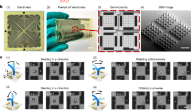 3D-printed low-voltage-driven ciliary hydrogel microactuators