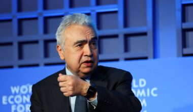IEA chief hails Türkiye's dual-track energy diversification strategy