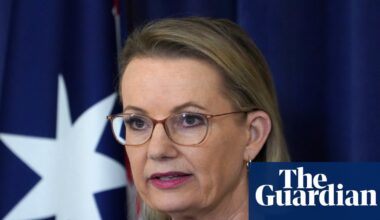 Coalition set to vote against Labor’s hate speech and gun laws in wake of Bondi terror attack | Bondi beach terror attack