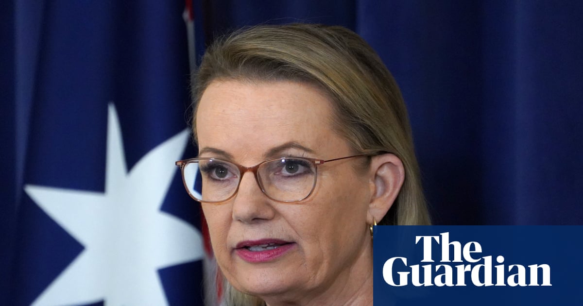 Coalition set to vote against Labor’s hate speech and gun laws in wake of Bondi terror attack | Bondi beach terror attack