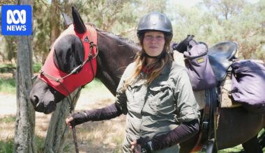 American rider and brumby complete 4,400km journey across Australia
