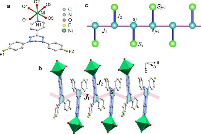 Emergence of Kondo-assisted Néel order in a Kondo necklace model