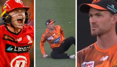 Ashton Turner catch, Oliver Peake, Melbourne Renegades defeat Perth Scorchers, controversy, hand touched the ground, what was said, third umpire ruling