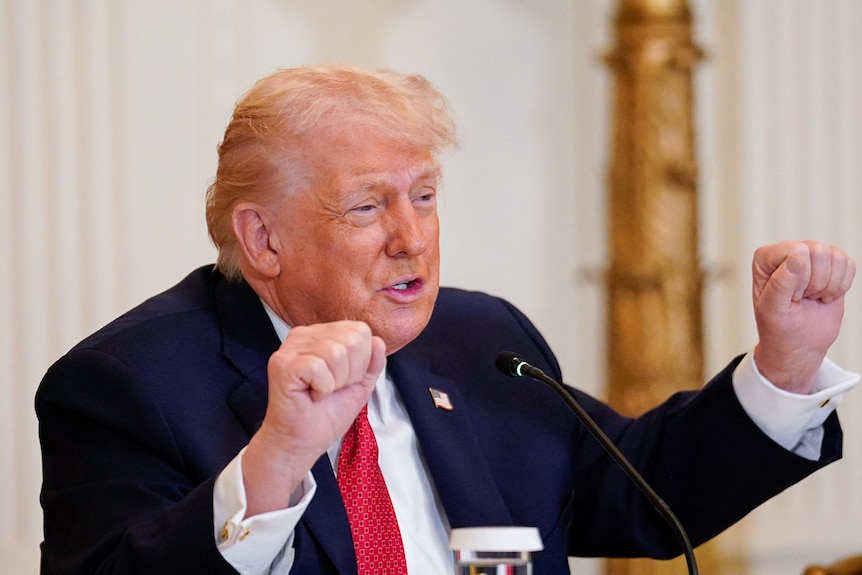 Donald Trump seated in front of microphone, gesturing with both fists raised
