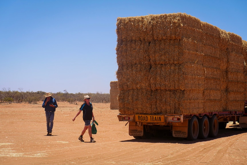 A man and a woman are dwarfed by a road train stacked high with bales of hay.