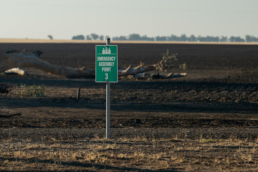 Blackened, burnt out paddocks with a fallen tree in the background, a green sign reading 'emergency assembly point' in the foreg