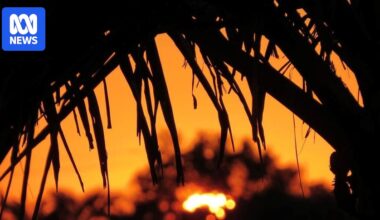 Victoria, SA, NSW brace for 'worst' heatwave since Black Summer