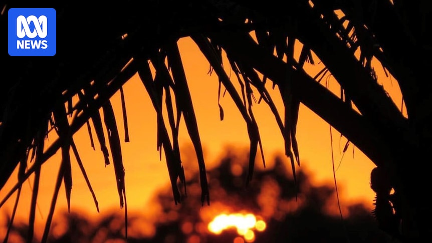 Victoria, SA, NSW brace for 'worst' heatwave since Black Summer