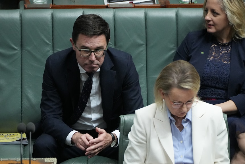 David Littleproud and Sussan Ley