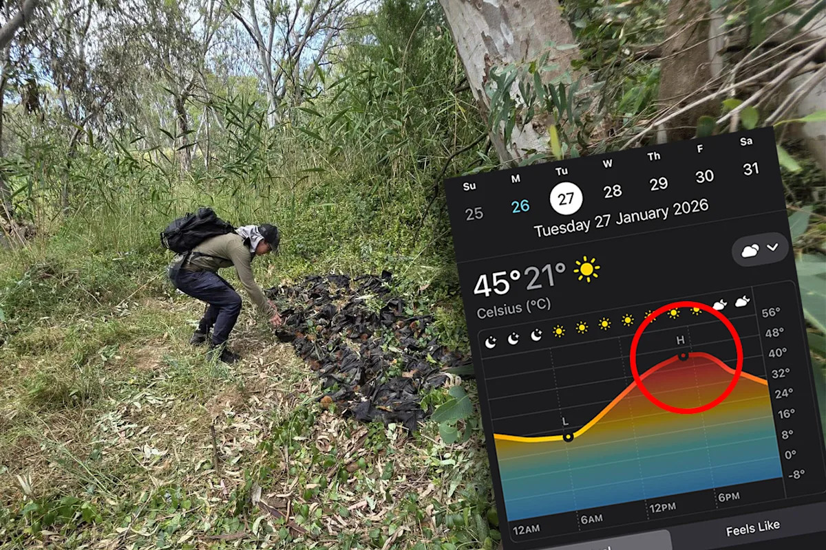 Dire prediction during five-hour window of extreme heat: 'Dead everywhere'